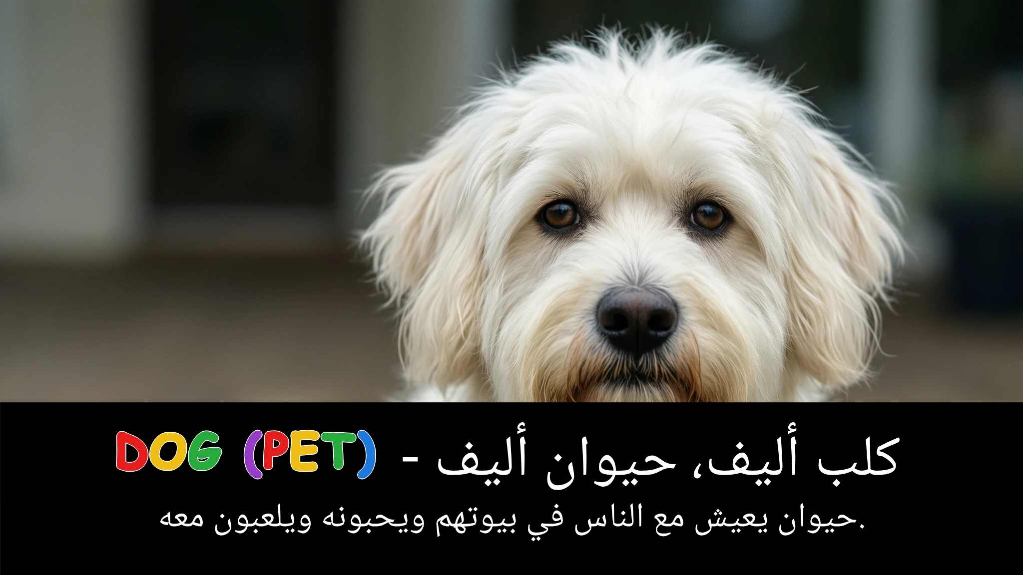 Arabic Illustration for dog (pet)